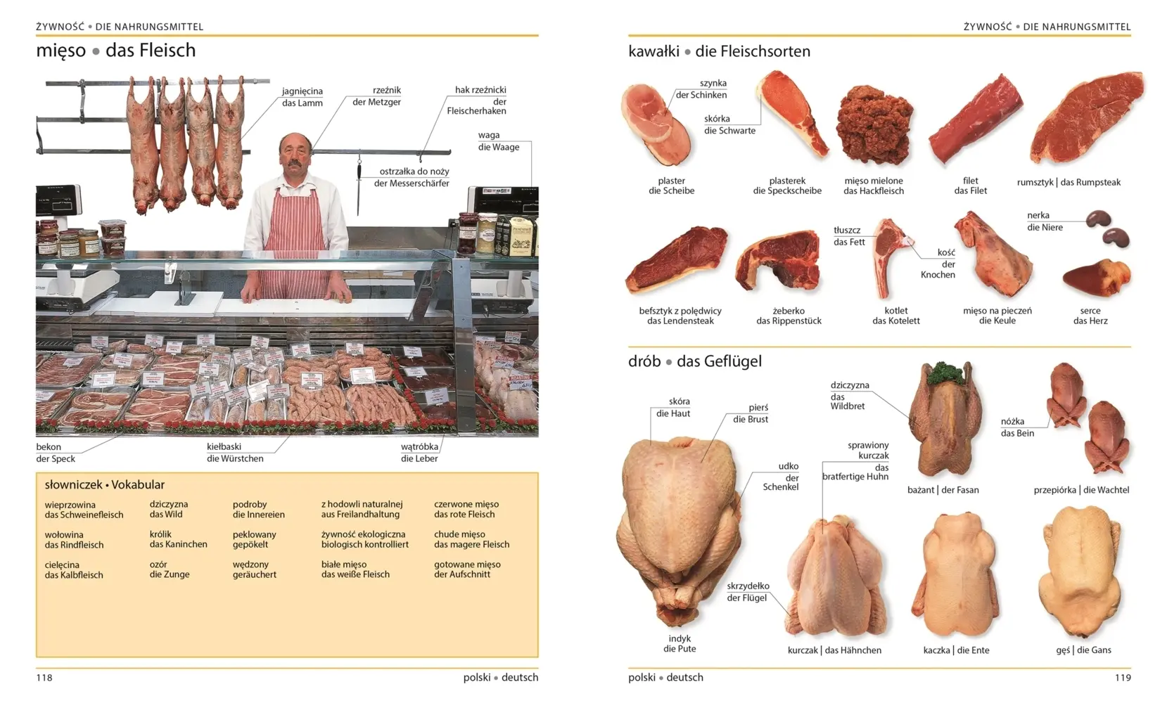 Bild: 9783831029778 | Visuelles Wörterbuch Polnisch Deutsch | Taschenbuch | 392 S. | Deutsch