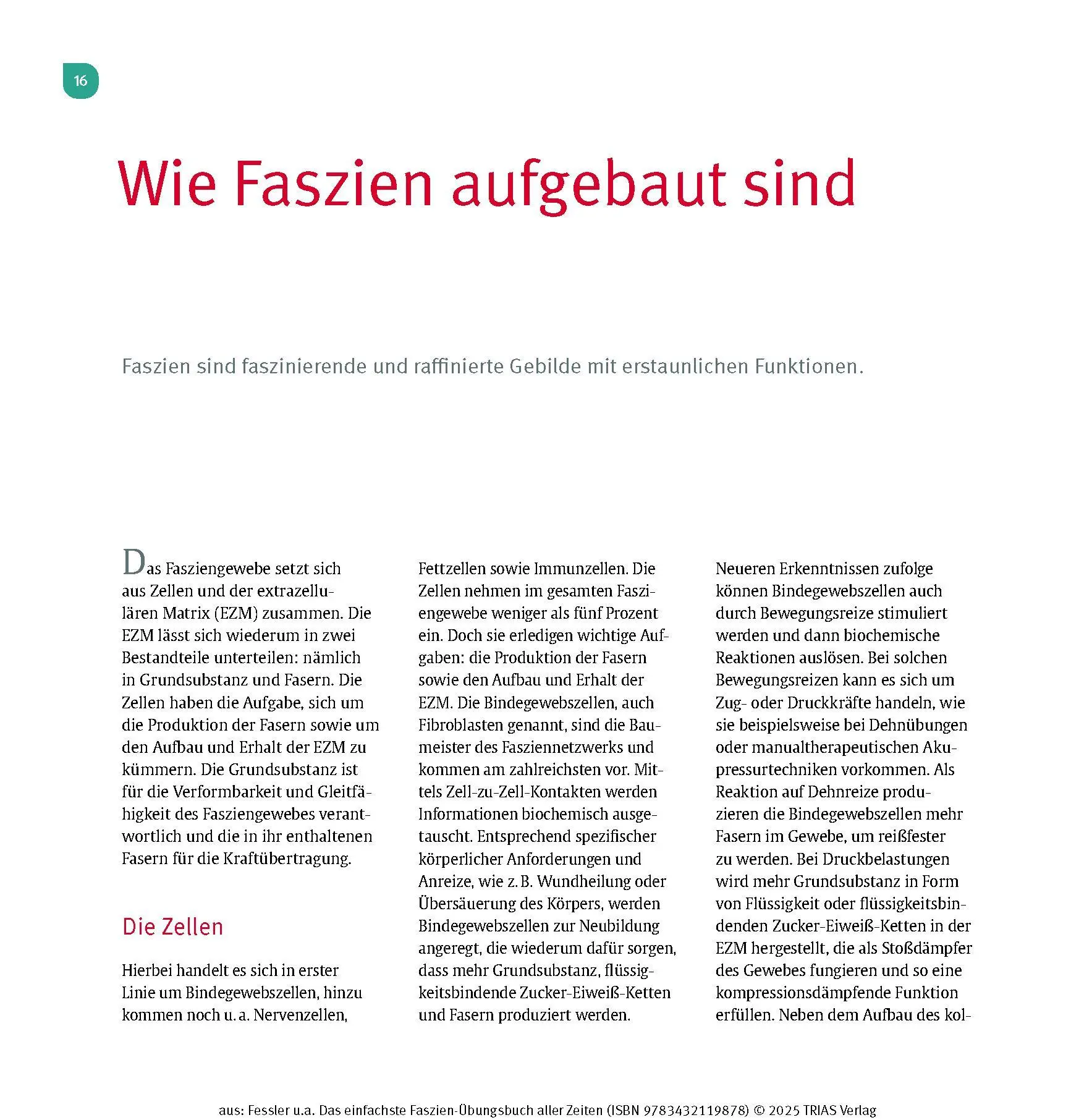 Bild: 9783432119878 | Das einfachste Faszien-Übungsbuch aller Zeiten | Fessler (u. a.)