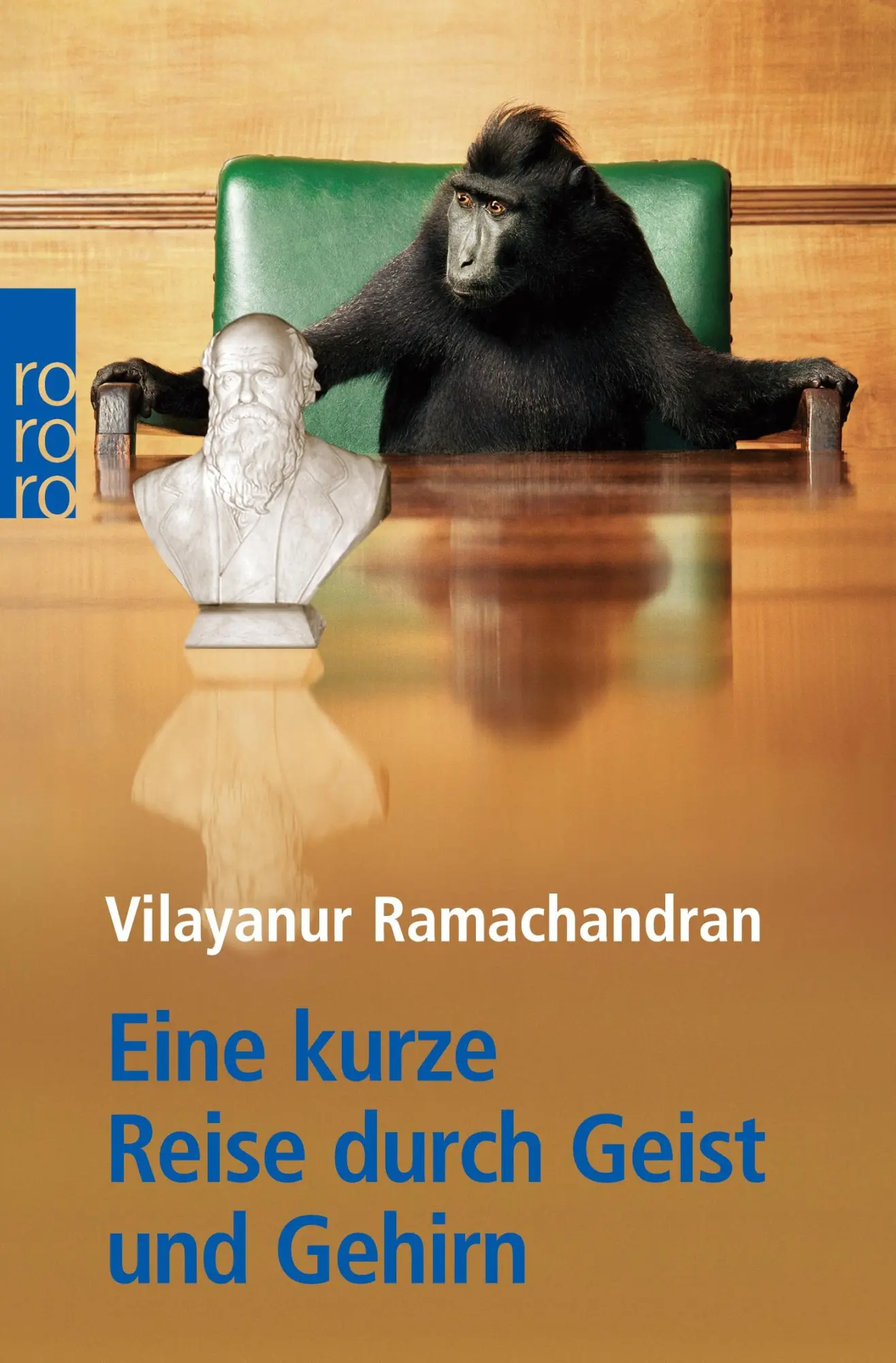 Cover: 9783499619878 | Eine kurze Reise durch Geist und Gehirn | Vilayanur S. Ramachandran