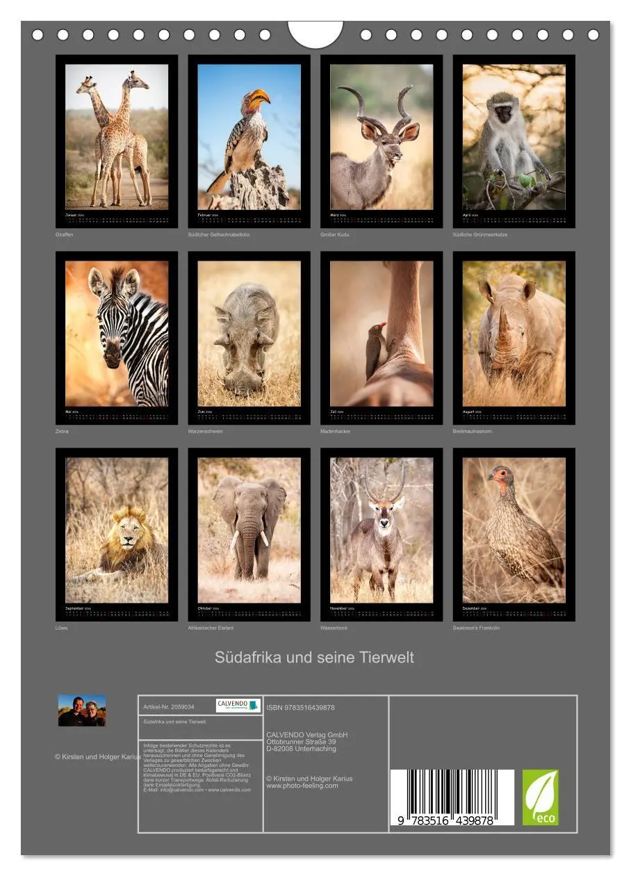Bild: 9783516439878 | Südafrika und seine Tierwelt (Wandkalender 2026 DIN A4 hoch),...