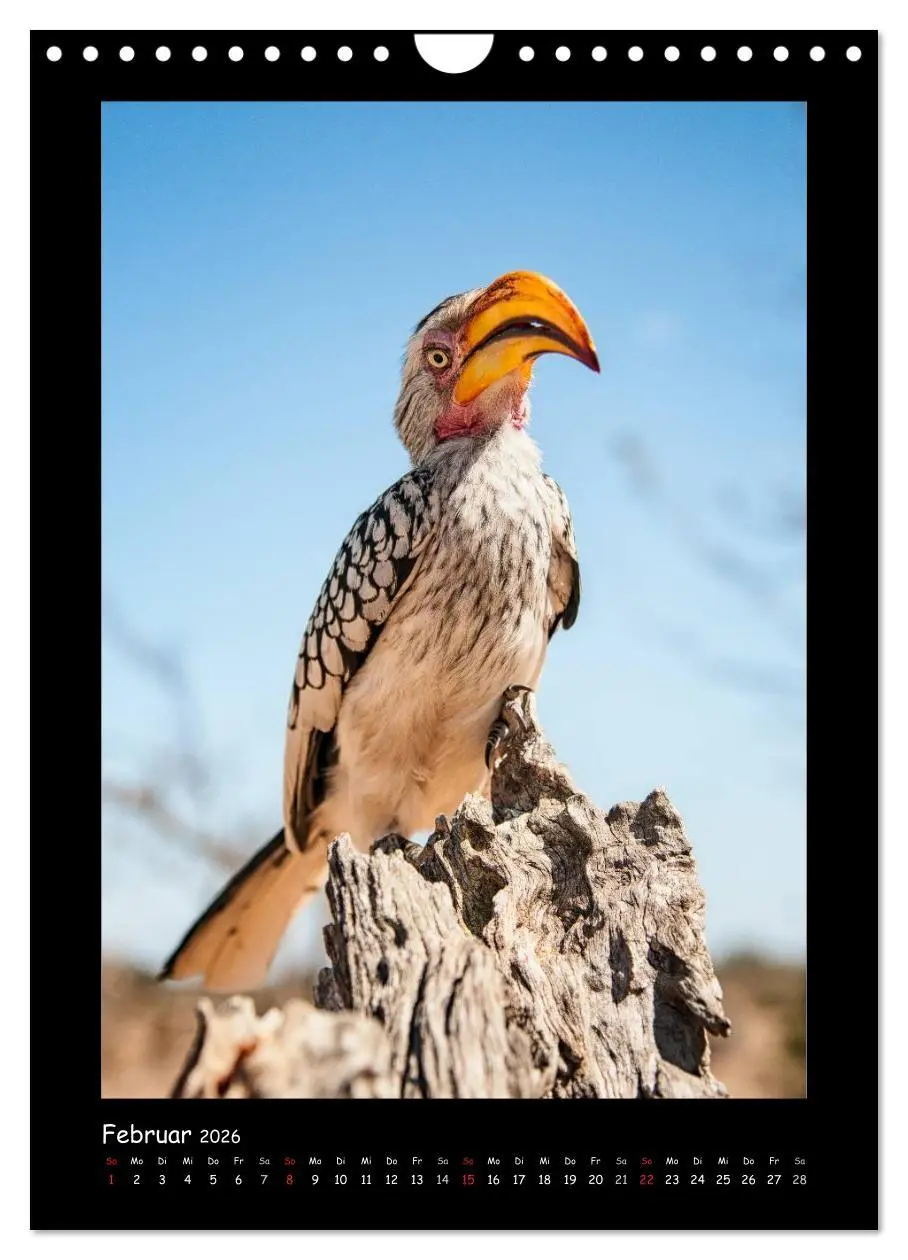 Bild: 9783516439878 | Südafrika und seine Tierwelt (Wandkalender 2026 DIN A4 hoch),...