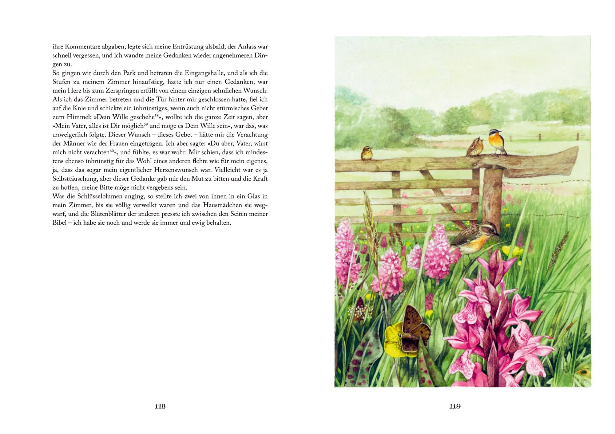 Bild: 9783649649878 | Agnes Grey | Anne Brontë | Buch | Große Schmuckausgabe | 224 S. | 2025