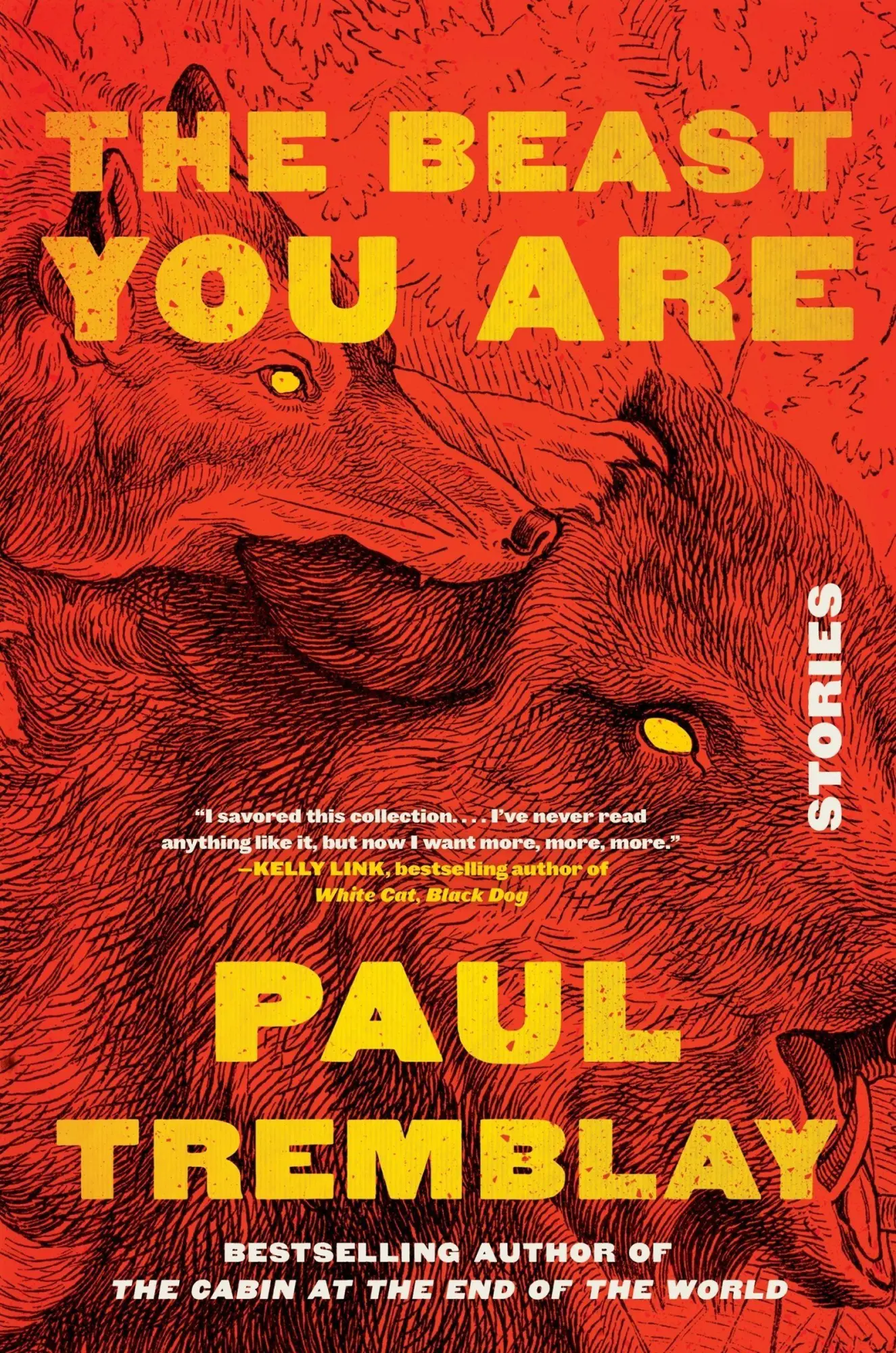 HarperCollins The Beast You Are