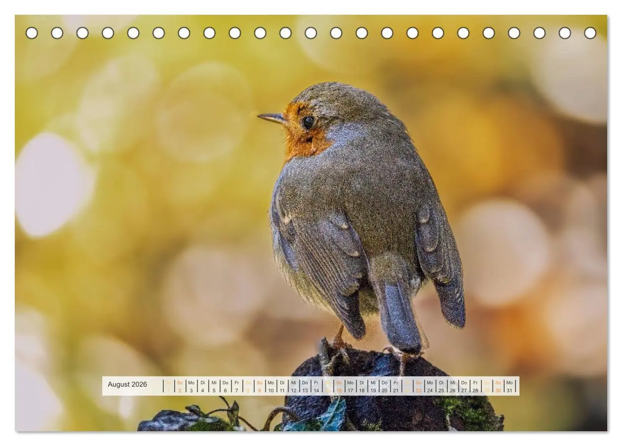 Bild: 9783457269978 | Rotkehlchen, die niedlichen Federkugeln (Tischkalender 2026 DIN A5...