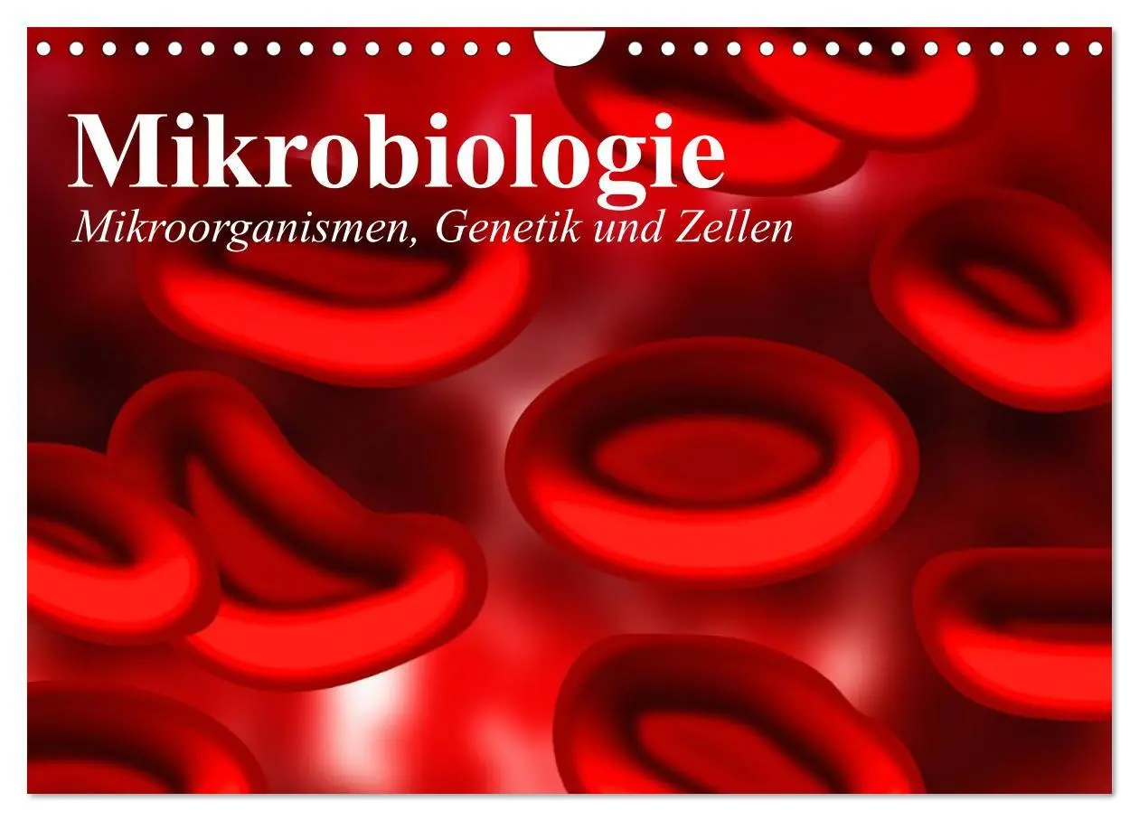 Cover: 9783457959978 | Mikrobiologie. Mikroorganismen, Genetik und Zellen (Wandkalender...