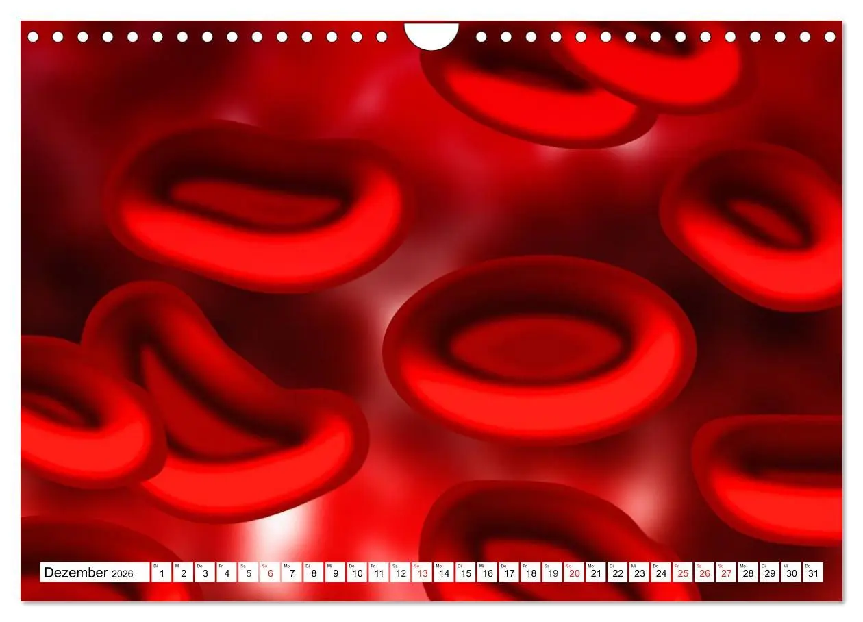 Bild: 9783457959978 | Mikrobiologie. Mikroorganismen, Genetik und Zellen (Wandkalender...