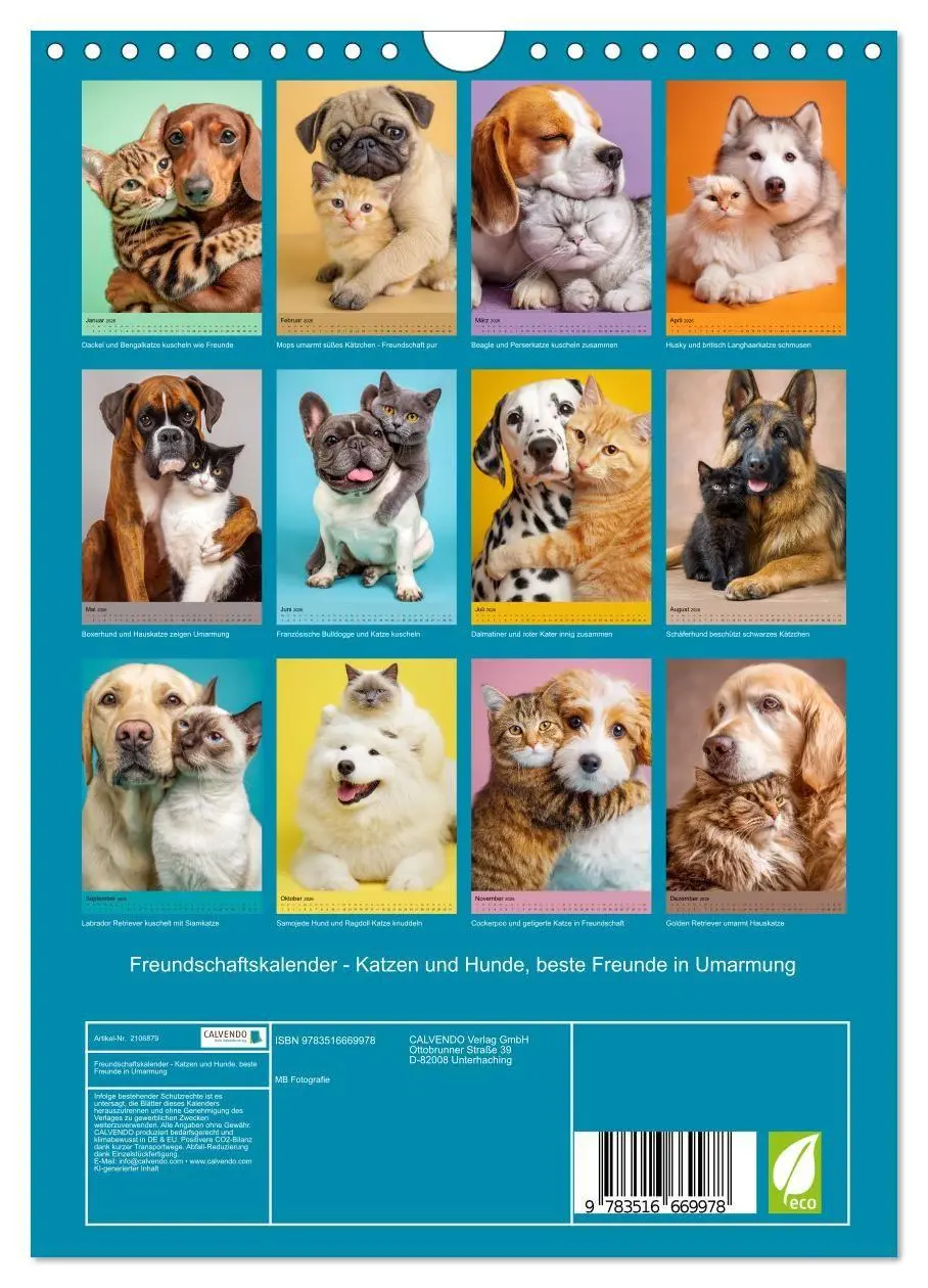 Bild: 9783516669978 | Freundschaftskalender - Katzen und Hunde, beste Freunde in Umarmung...
