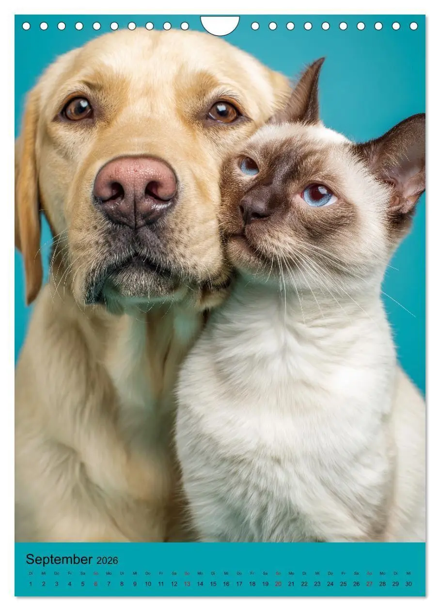 Bild: 9783516669978 | Freundschaftskalender - Katzen und Hunde, beste Freunde in Umarmung...