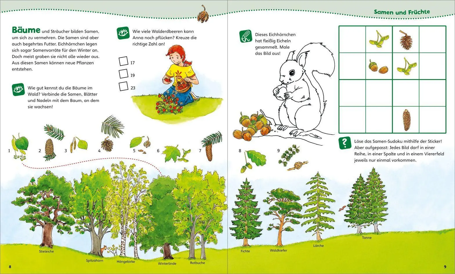 Bild: 9783788619978 | WAS IST WAS Junior Mitmach-Heft Wald | Spiele. Rätsel, Sticker | Buch