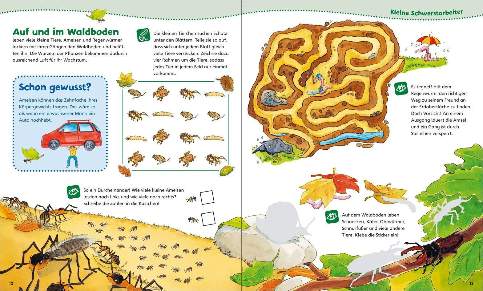 Bild: 9783788619978 | WAS IST WAS Junior Mitmach-Heft Wald | Spiele. Rätsel, Sticker | Buch