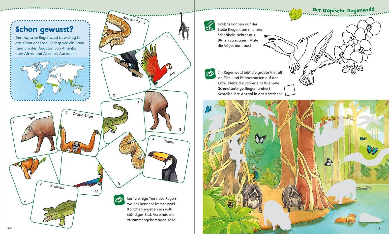Bild: 9783788619978 | WAS IST WAS Junior Mitmach-Heft Wald | Spiele. Rätsel, Sticker | Buch