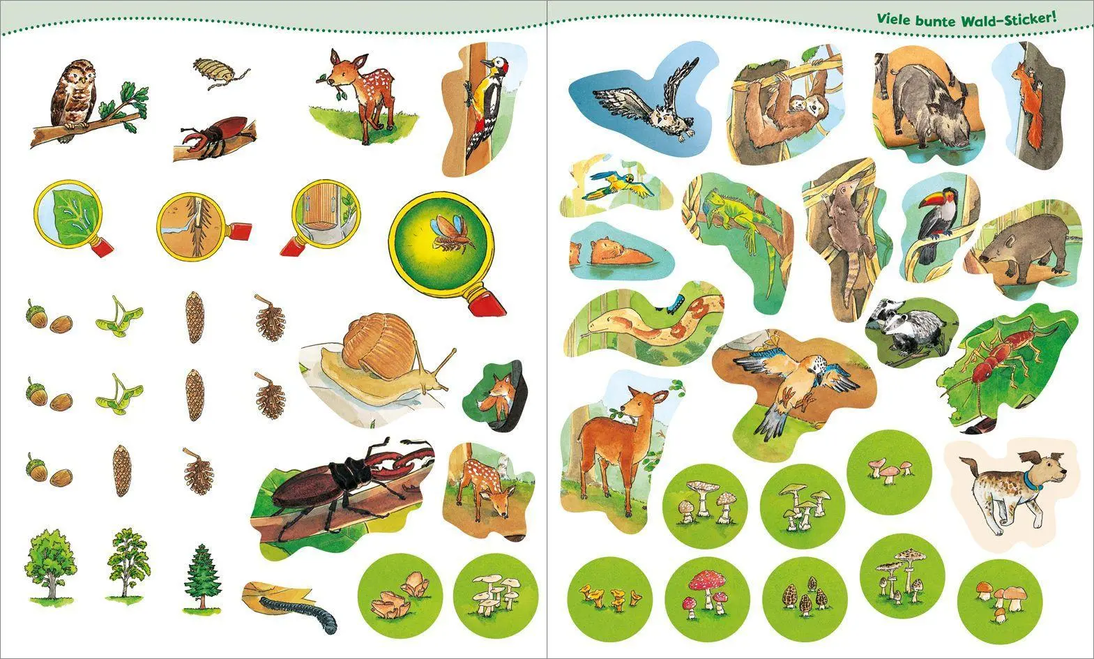 Bild: 9783788619978 | WAS IST WAS Junior Mitmach-Heft Wald | Spiele. Rätsel, Sticker | Buch