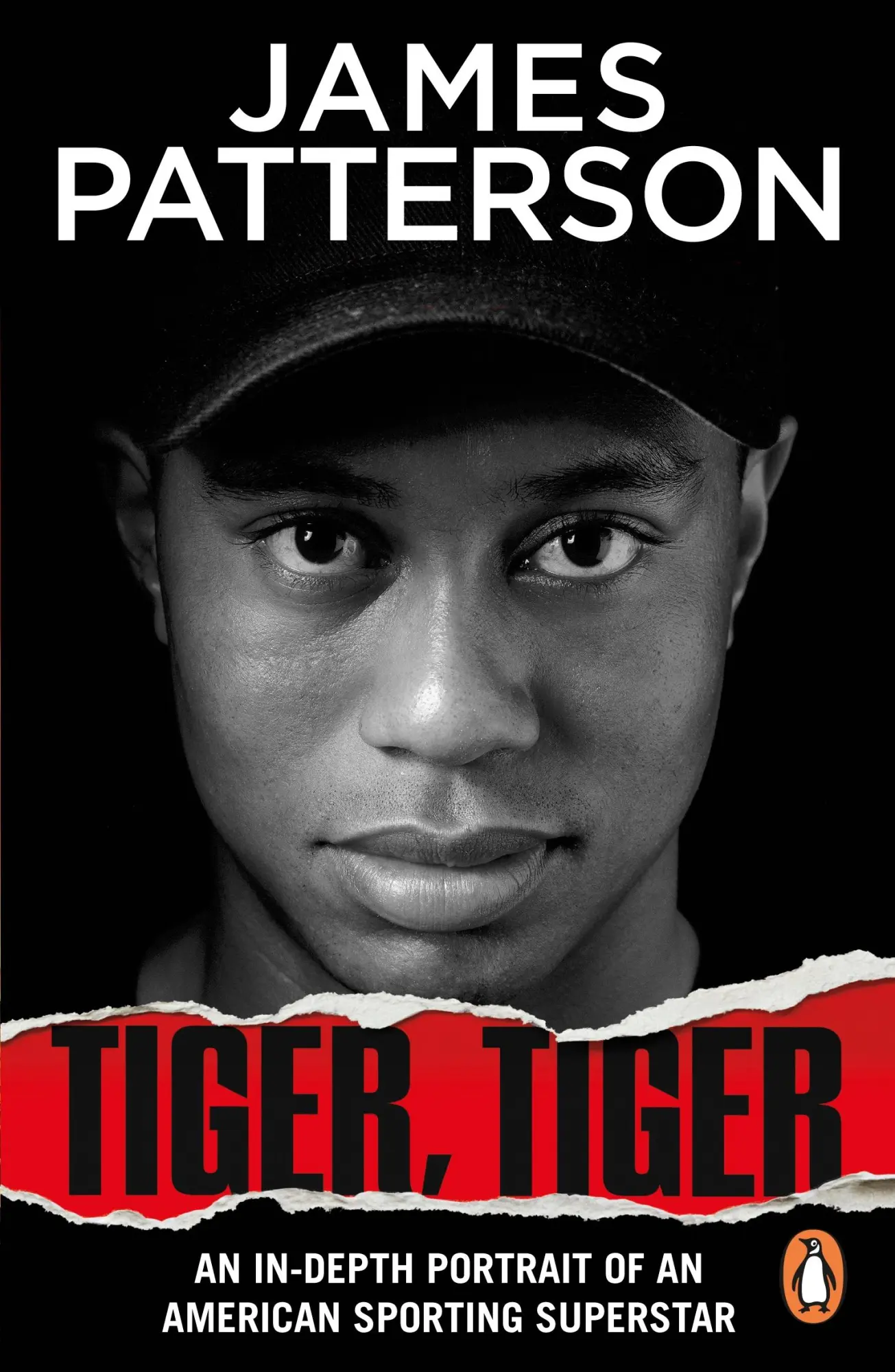 Cover: 9781529160079 | Tiger, Tiger | James Patterson | Taschenbuch | Paperback | Englisch