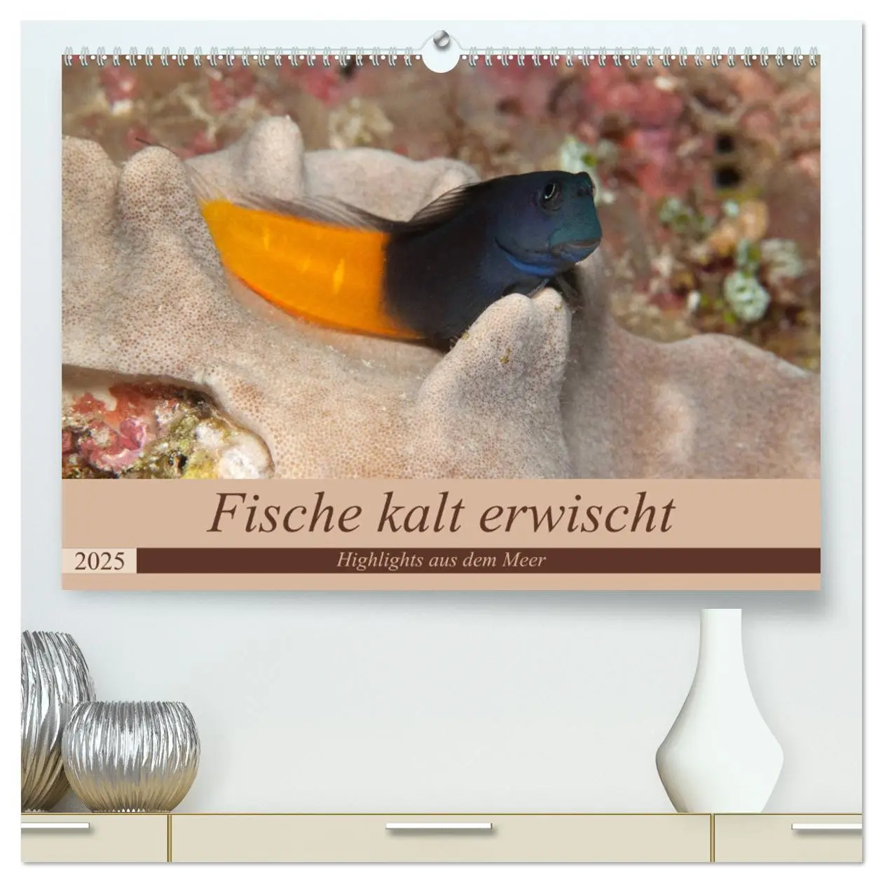 Cover: 9783435360079 | Sven Gruse taucht ab! Fische kalt erwischt (hochwertiger Premium...