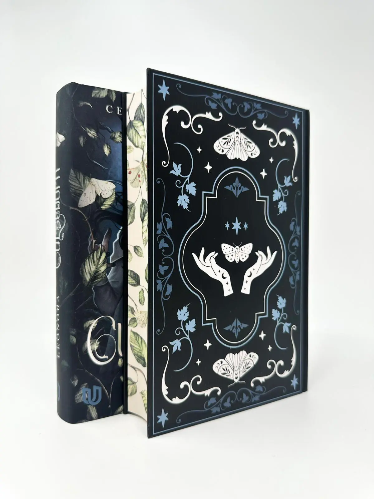 Bild: 9783690860079 | Curseborn | Das Geheimnis der Blutmotten | Celine Leonora | Buch