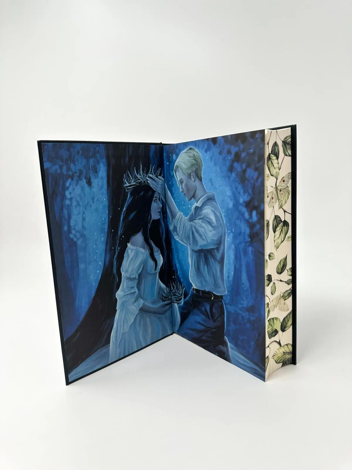 Bild: 9783690860079 | Curseborn | Das Geheimnis der Blutmotten | Celine Leonora | Buch