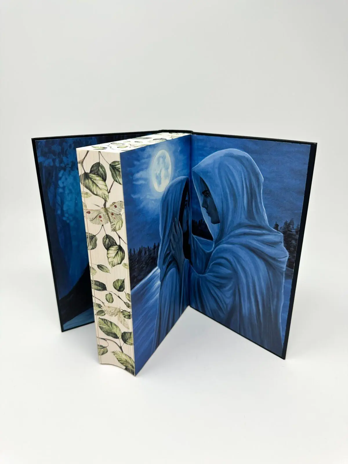 Bild: 9783690860079 | Curseborn | Das Geheimnis der Blutmotten | Celine Leonora | Buch