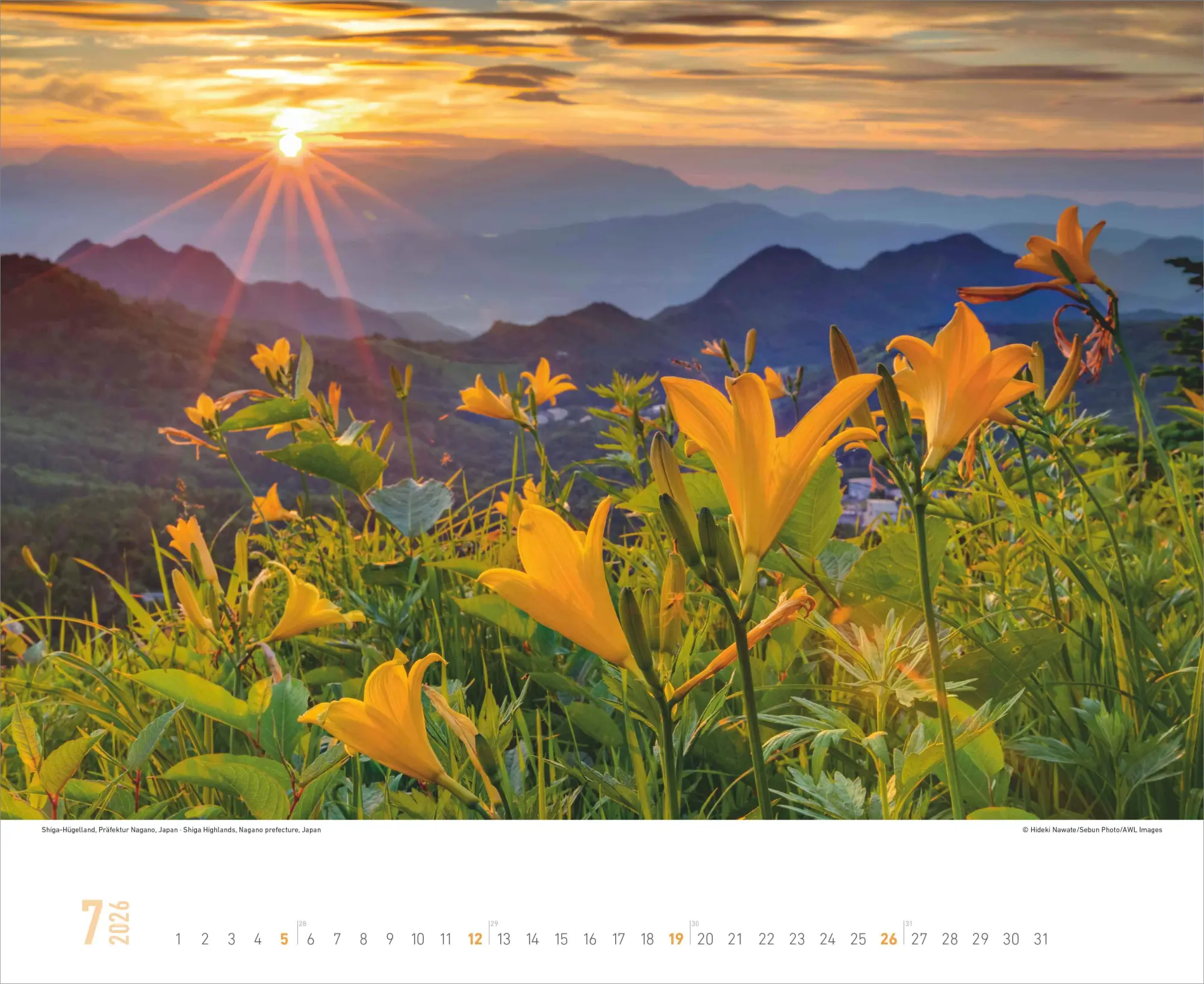 Bild: 4069095000179 | ALPHA EDITION - Around the World 2026 - 52 x 42,5 cm | Kalender | 2026