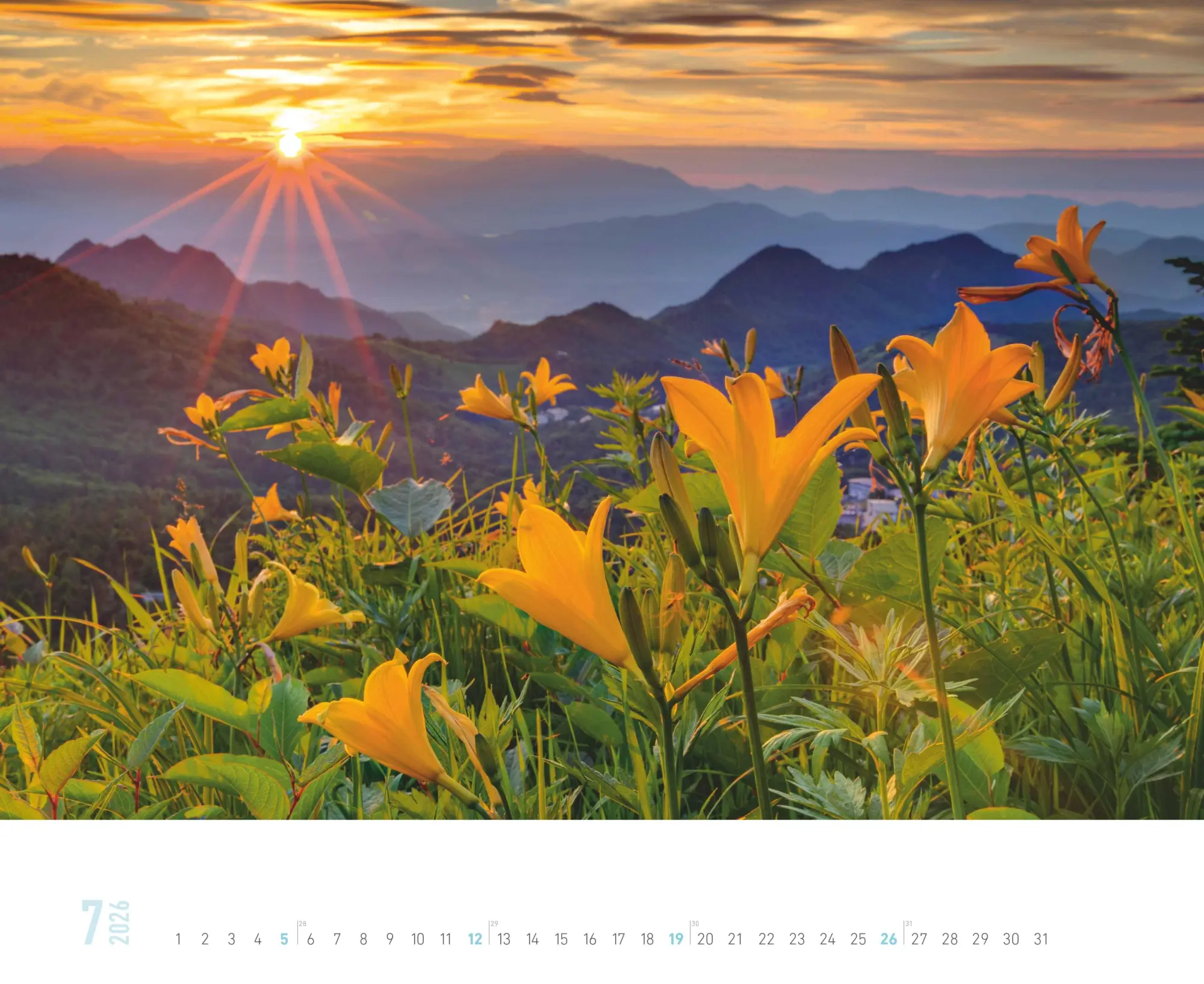 Bild: 4069095000179 | ALPHA EDITION - Around the World 2026 - 52 x 42,5 cm | Kalender | 2026