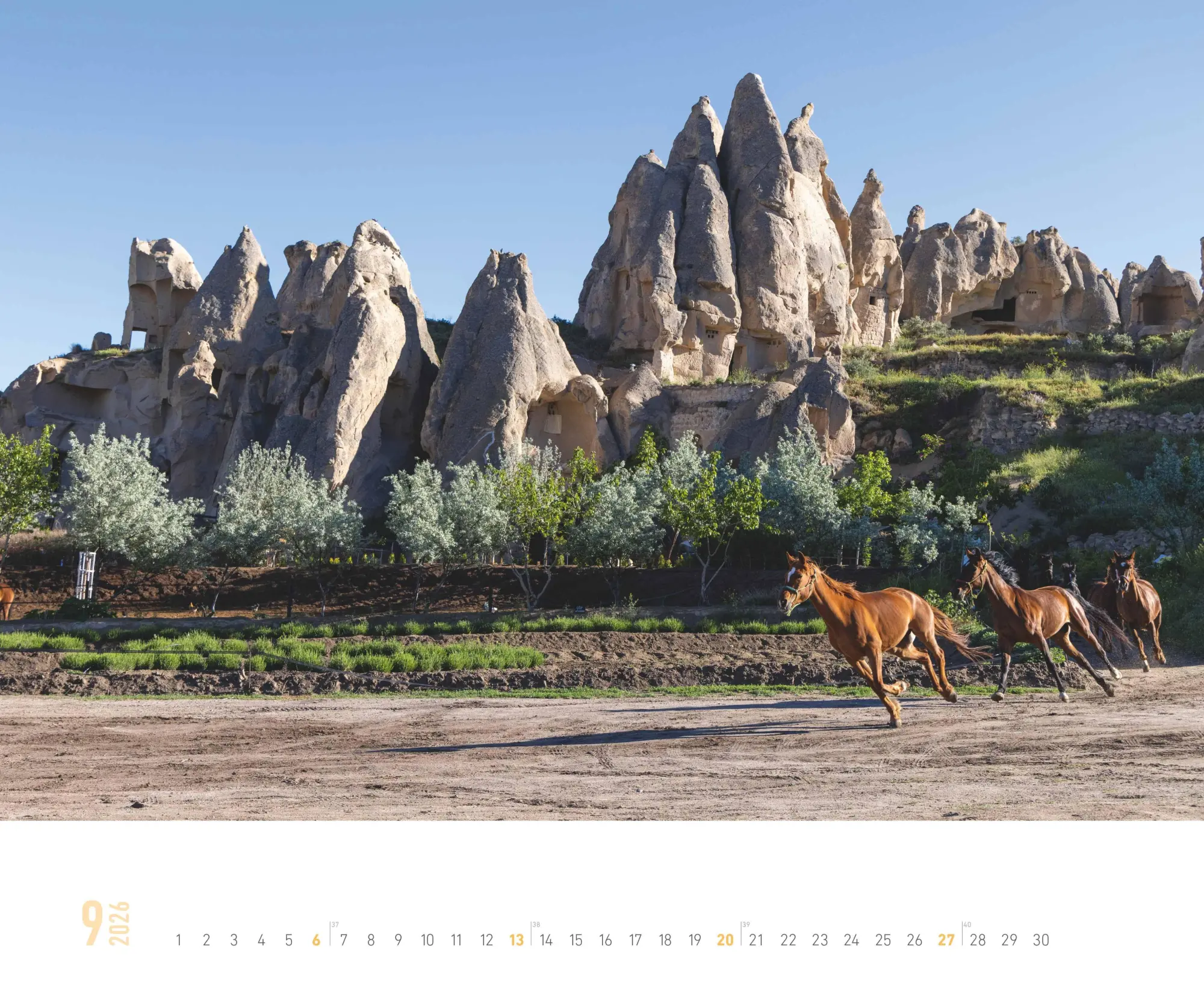 Bild: 4069095000179 | ALPHA EDITION - Around the World 2026 - 52 x 42,5 cm | Kalender | 2026