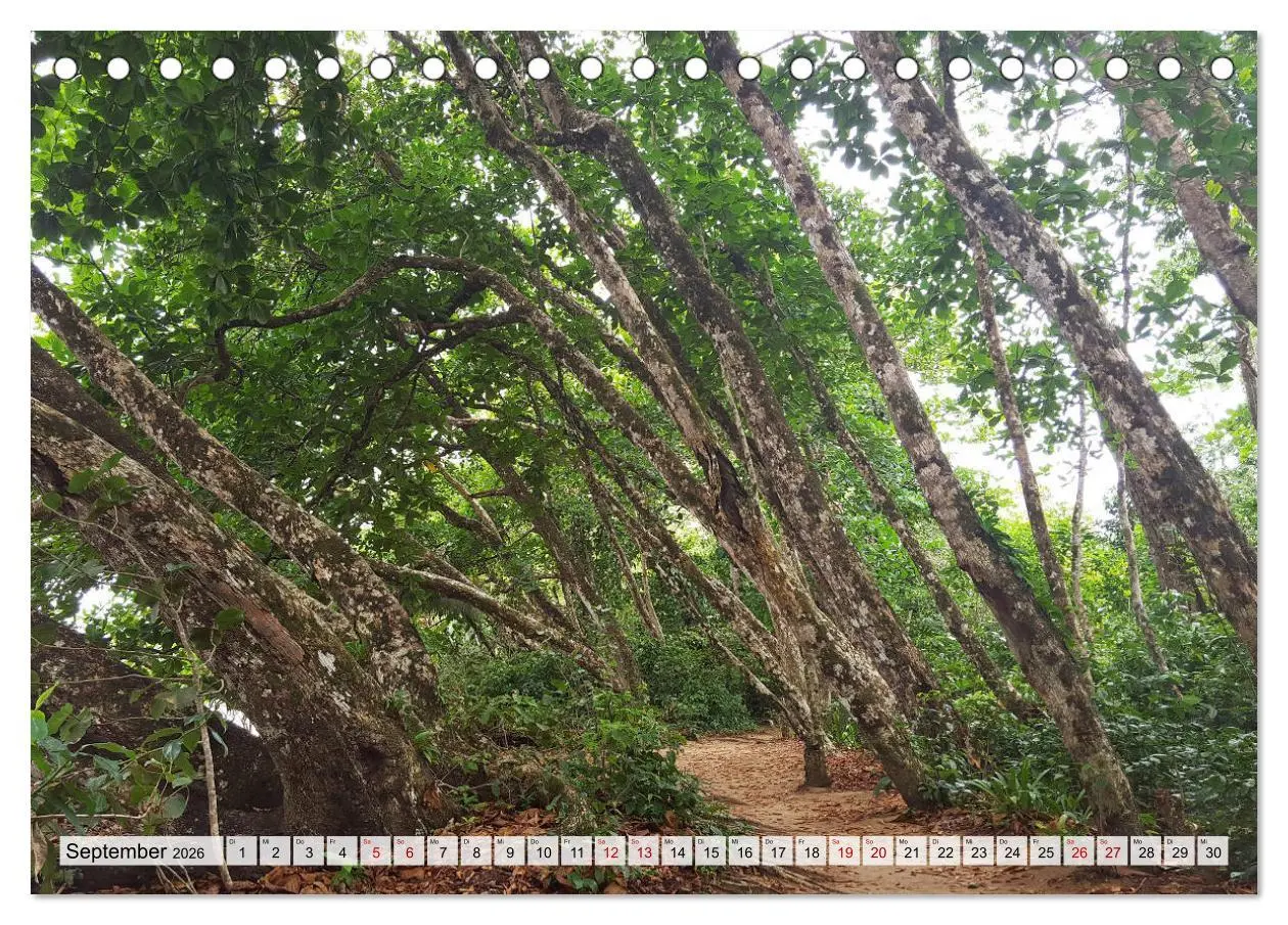 Bild: 9783457820179 | Costa Rica - Lebensfreude pur (Tischkalender 2026 DIN A5 quer),...