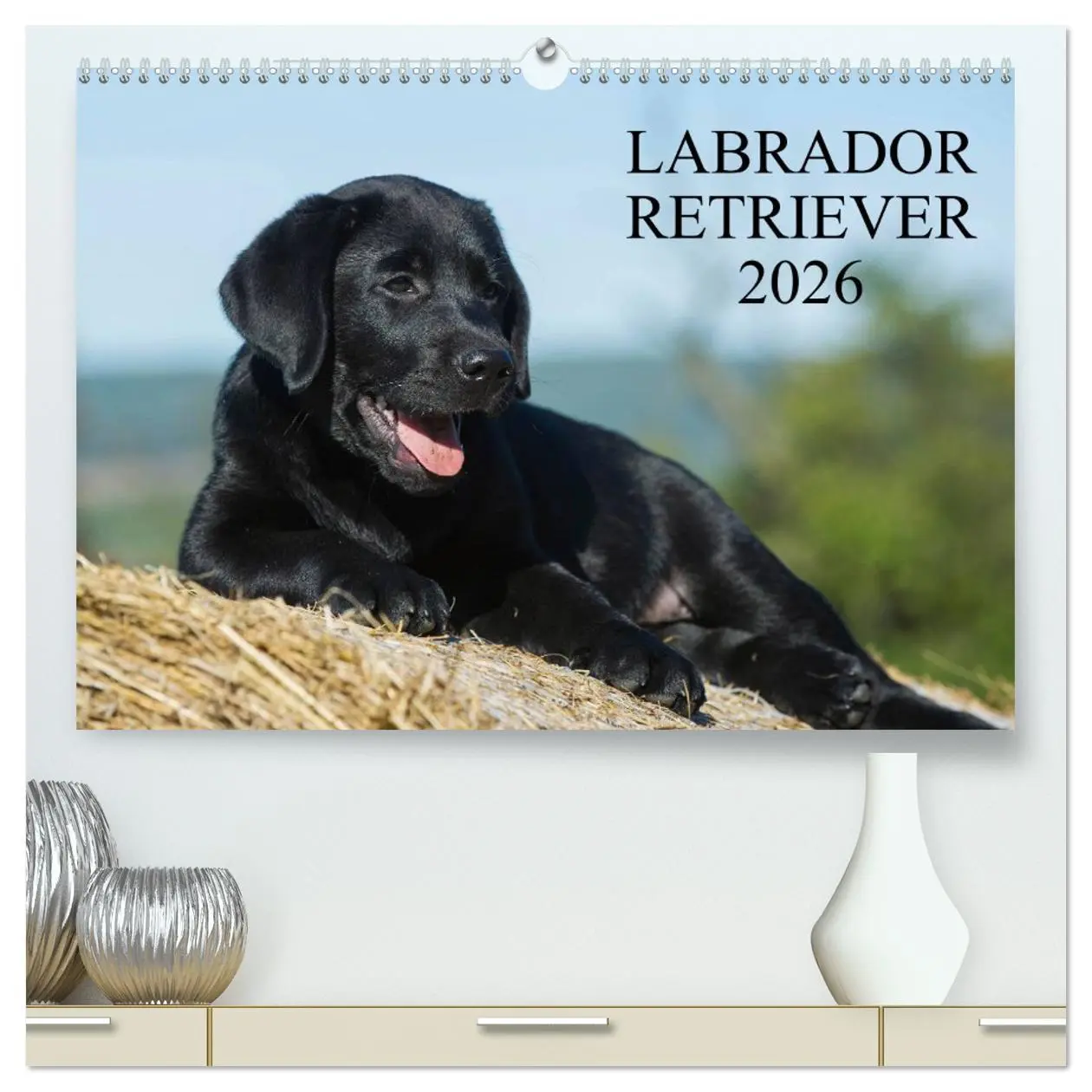 Cover: 9783516150179 | Labrador Retriever 2026 (hochwertiger Premium Wandkalender 2026 DIN...