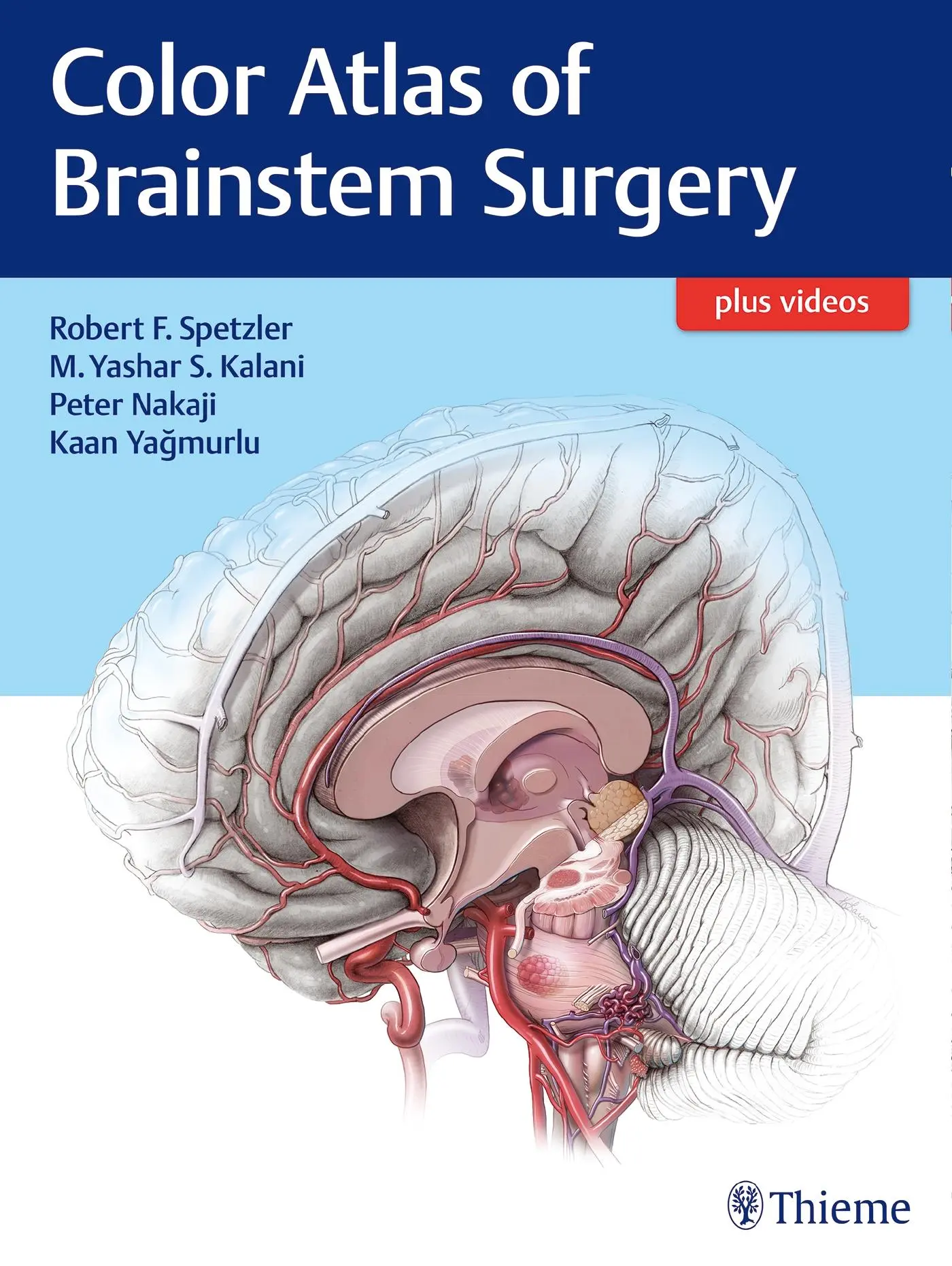 Cover: 9781626230279 | Color Atlas of Brainstem Surgery | Robert F Spetzler (u. a.) | Buch