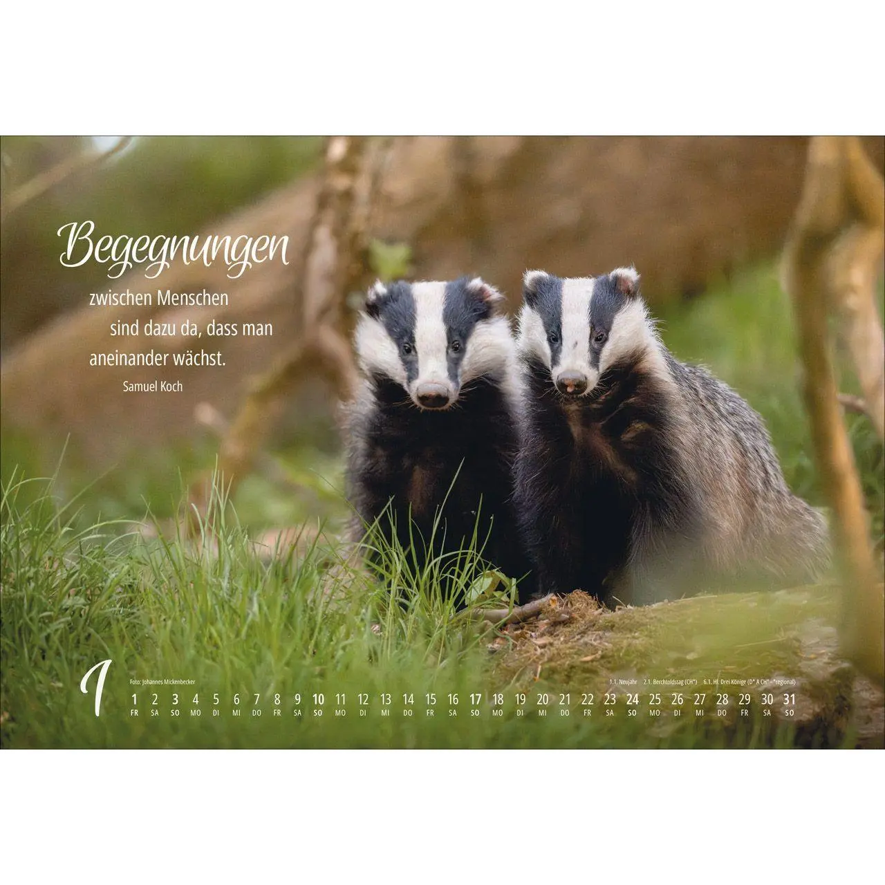 Bild: 9783754810279 | Real Wildlife 2027 | Kalender | 14 S. | Deutsch | 2027