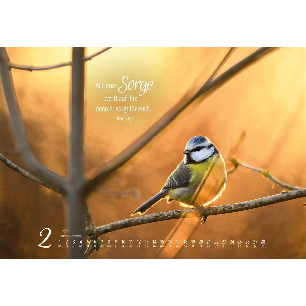 Bild: 9783754810279 | Real Wildlife 2027 | Kalender | 14 S. | Deutsch | 2027