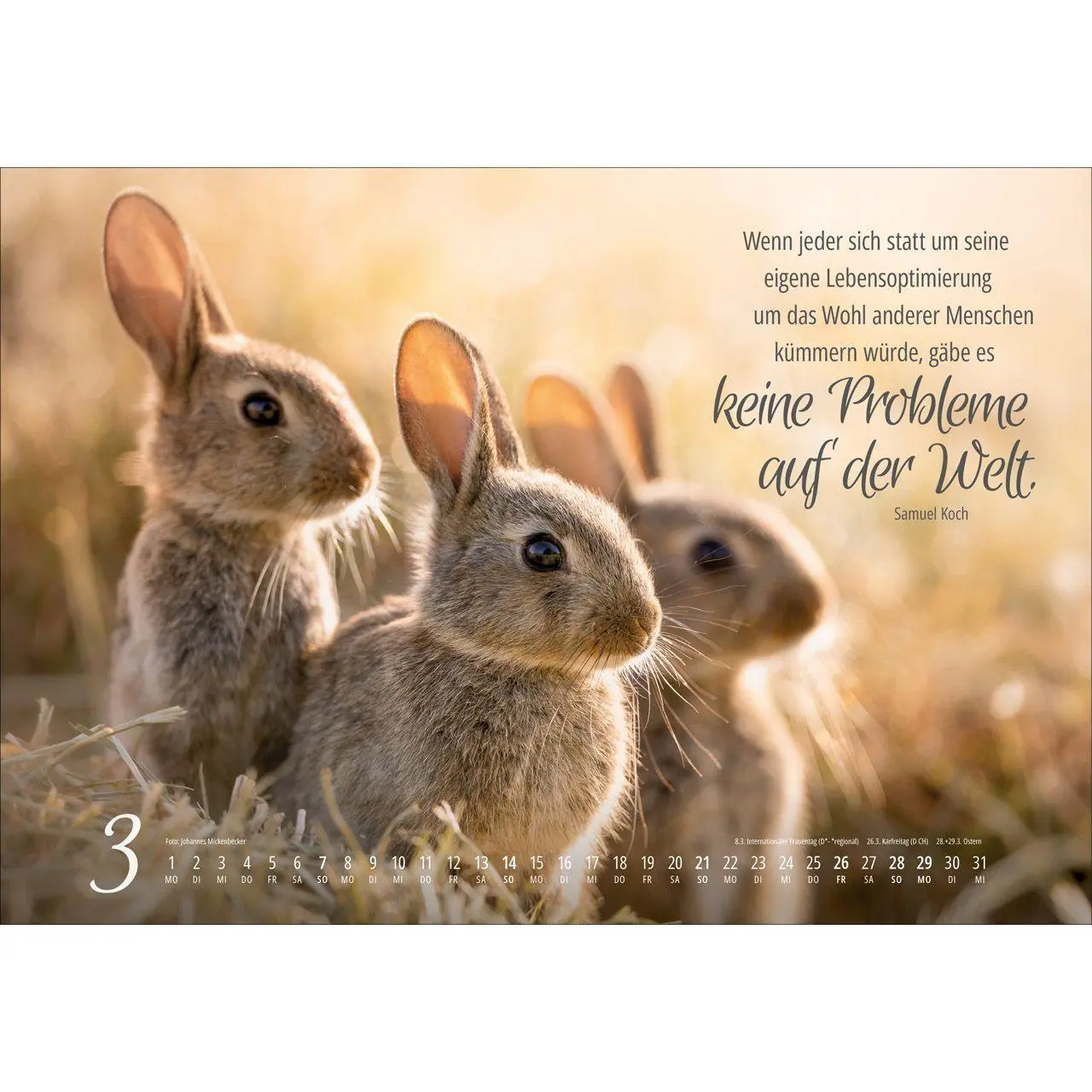Bild: 9783754810279 | Real Wildlife 2027 | Kalender | 14 S. | Deutsch | 2027