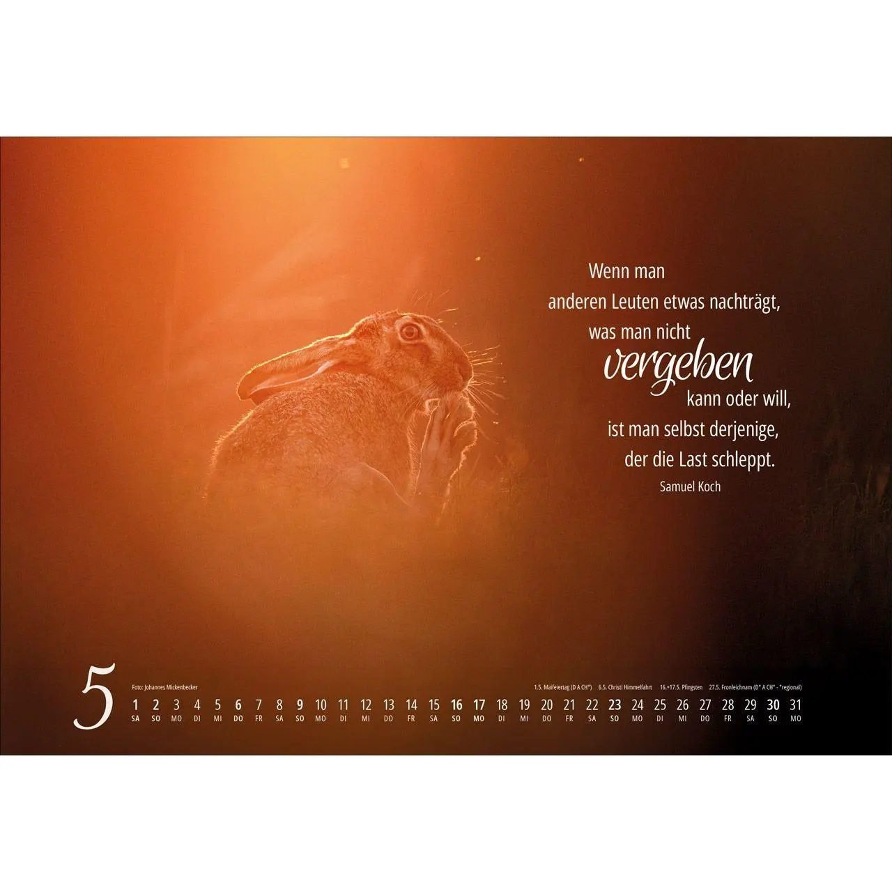 Bild: 9783754810279 | Real Wildlife 2027 | Kalender | 14 S. | Deutsch | 2027