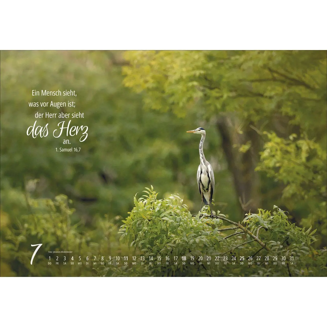 Bild: 9783754810279 | Real Wildlife 2027 | Kalender | 14 S. | Deutsch | 2027