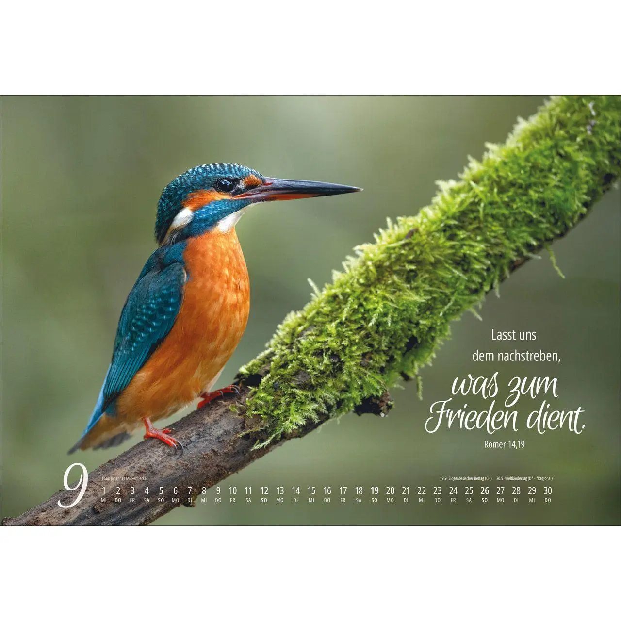 Bild: 9783754810279 | Real Wildlife 2027 | Kalender | 14 S. | Deutsch | 2027