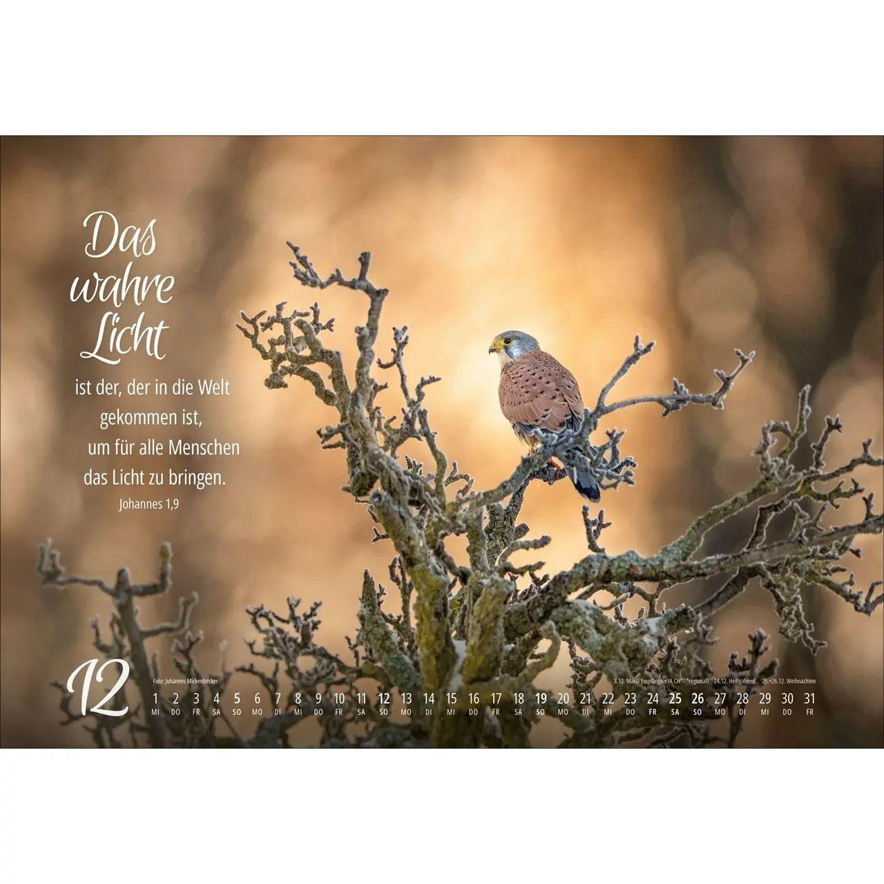 Bild: 9783754810279 | Real Wildlife 2027 | Kalender | 14 S. | Deutsch | 2027
