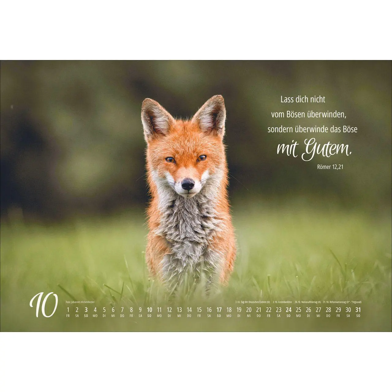 Bild: 9783754810279 | Real Wildlife 2027 | Kalender | 14 S. | Deutsch | 2027