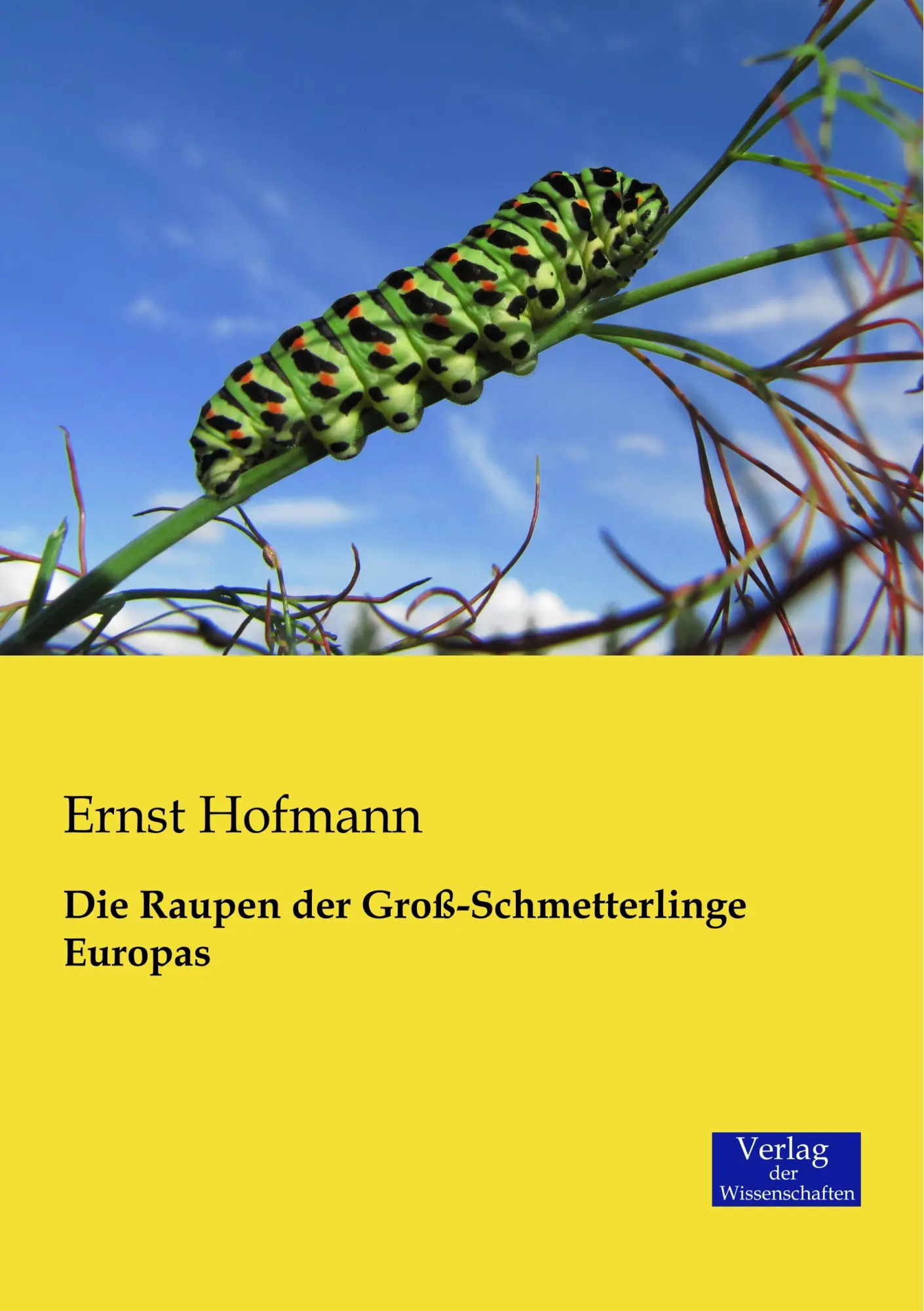 Cover: 9783957000279 | Die Raupen der Groß-Schmetterlinge Europas | Ernst Hofmann | Buch