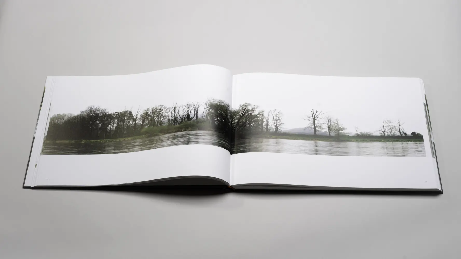 Bild: 9783969120279 | Stephan Kaluza - Das Rheinprojekt | Matthias Fechter (u. a.) | Buch
