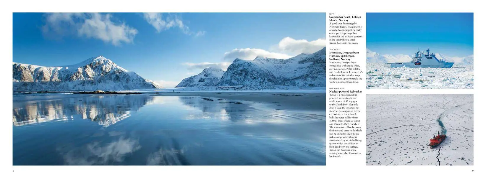 Bild: 9781838860479 | Arctic | Life Inside the Arctic Circle | Claudia Martin | Buch | 2021