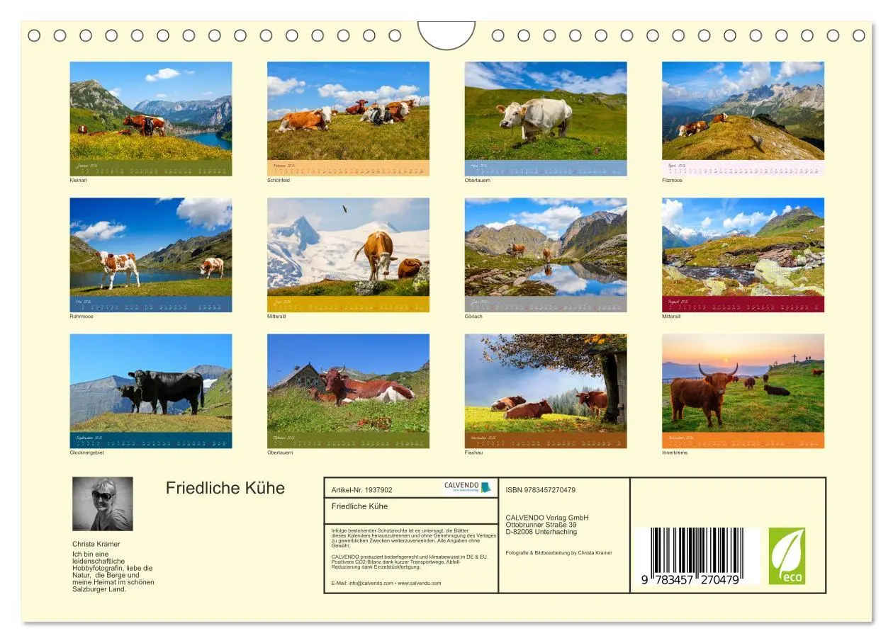 Bild: 9783457270479 | Friedliche Kühe (Wandkalender 2026 DIN A4 quer), CALVENDO...