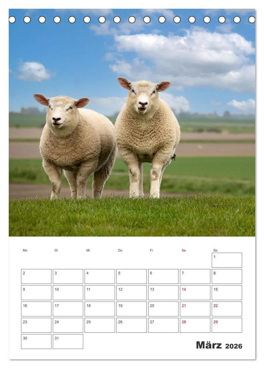 Bild: 9783516360479 | Sankt Peter-Ording Sonne, Strand und Meer (Tischkalender 2026 DIN...