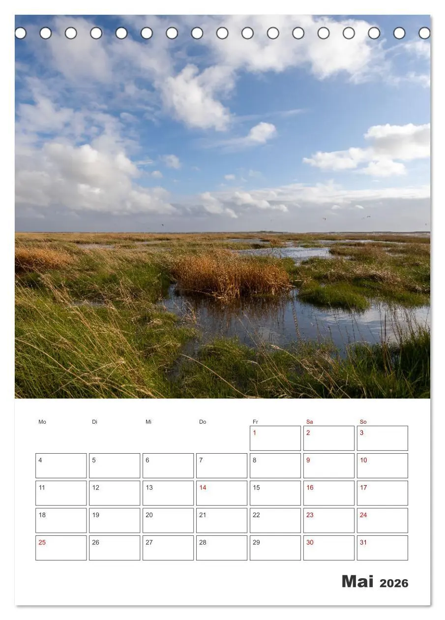 Bild: 9783516360479 | Sankt Peter-Ording Sonne, Strand und Meer (Tischkalender 2026 DIN...