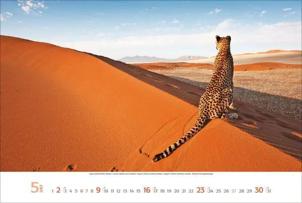 Bild: 9783819300479 | Sehnsuchtsorte 2027 | Verlag Korsch | Kalender | Spiralbindung | 14 S.