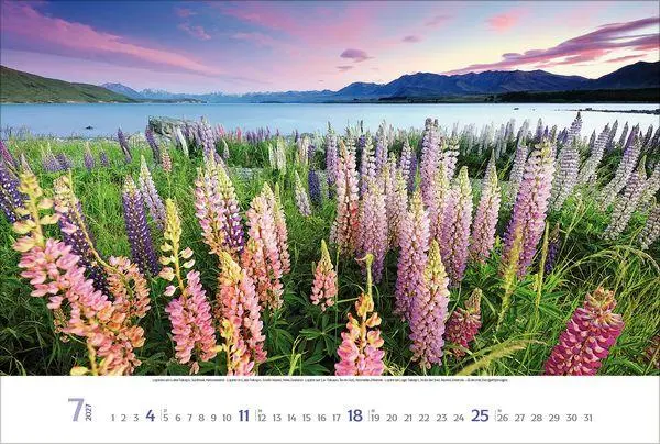 Bild: 9783819300479 | Sehnsuchtsorte 2027 | Verlag Korsch | Kalender | Spiralbindung | 14 S.