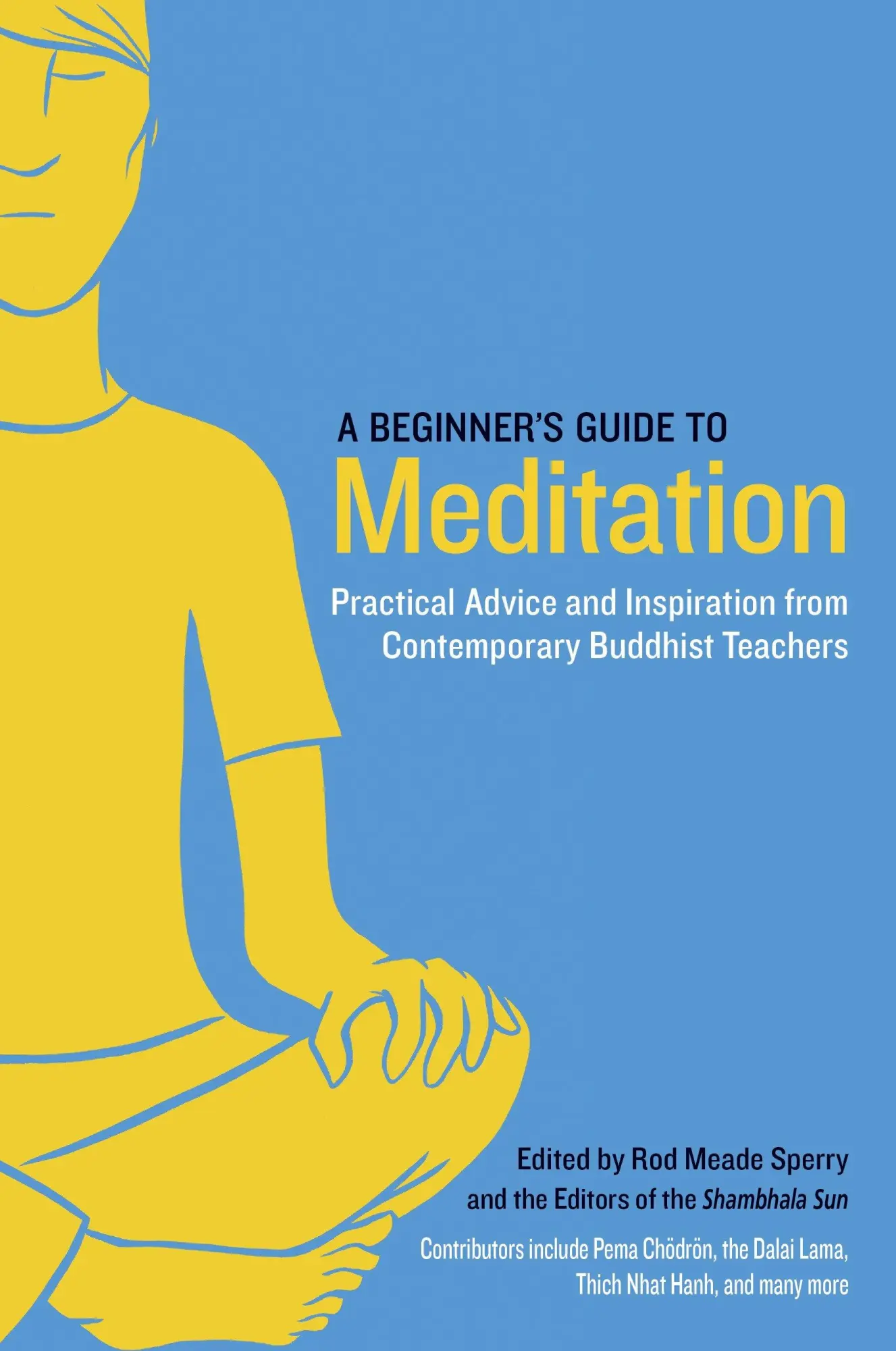 Cover: 9781611800579 | A Beginner's Guide to Meditation | Rod Meade Sperry (u. a.) | Buch Cover: 9781611800579 | A Beginner's Guide to Meditation | Rod Meade Sperry (u. a.) | Buch