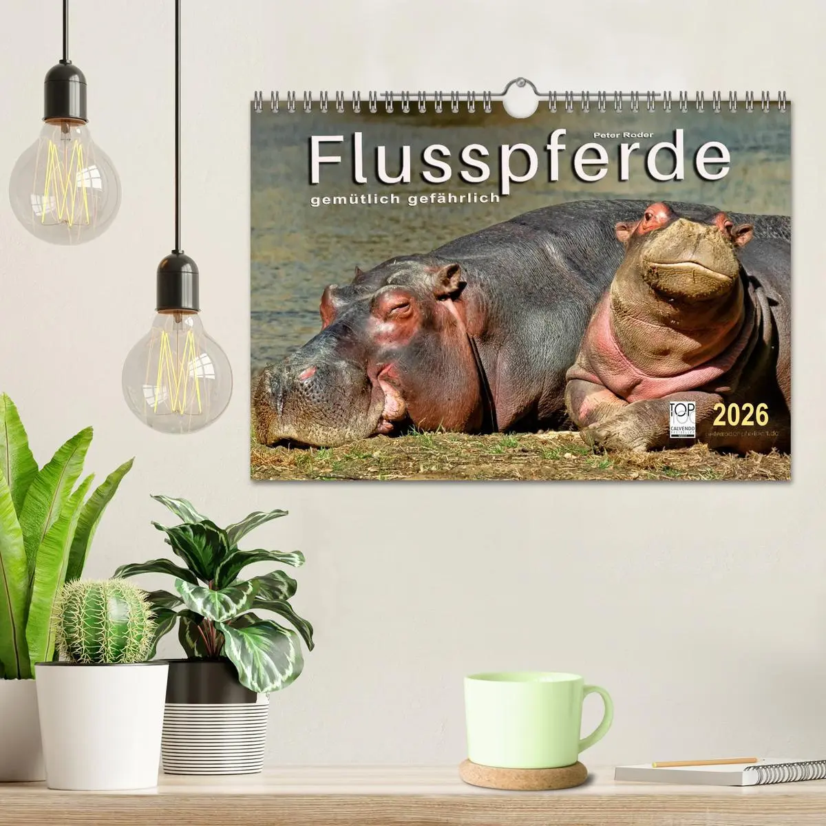 Bild: 9783457950579 | Flusspferde - gemütlich gefährlich (Wandkalender 2026 DIN A4 quer),...