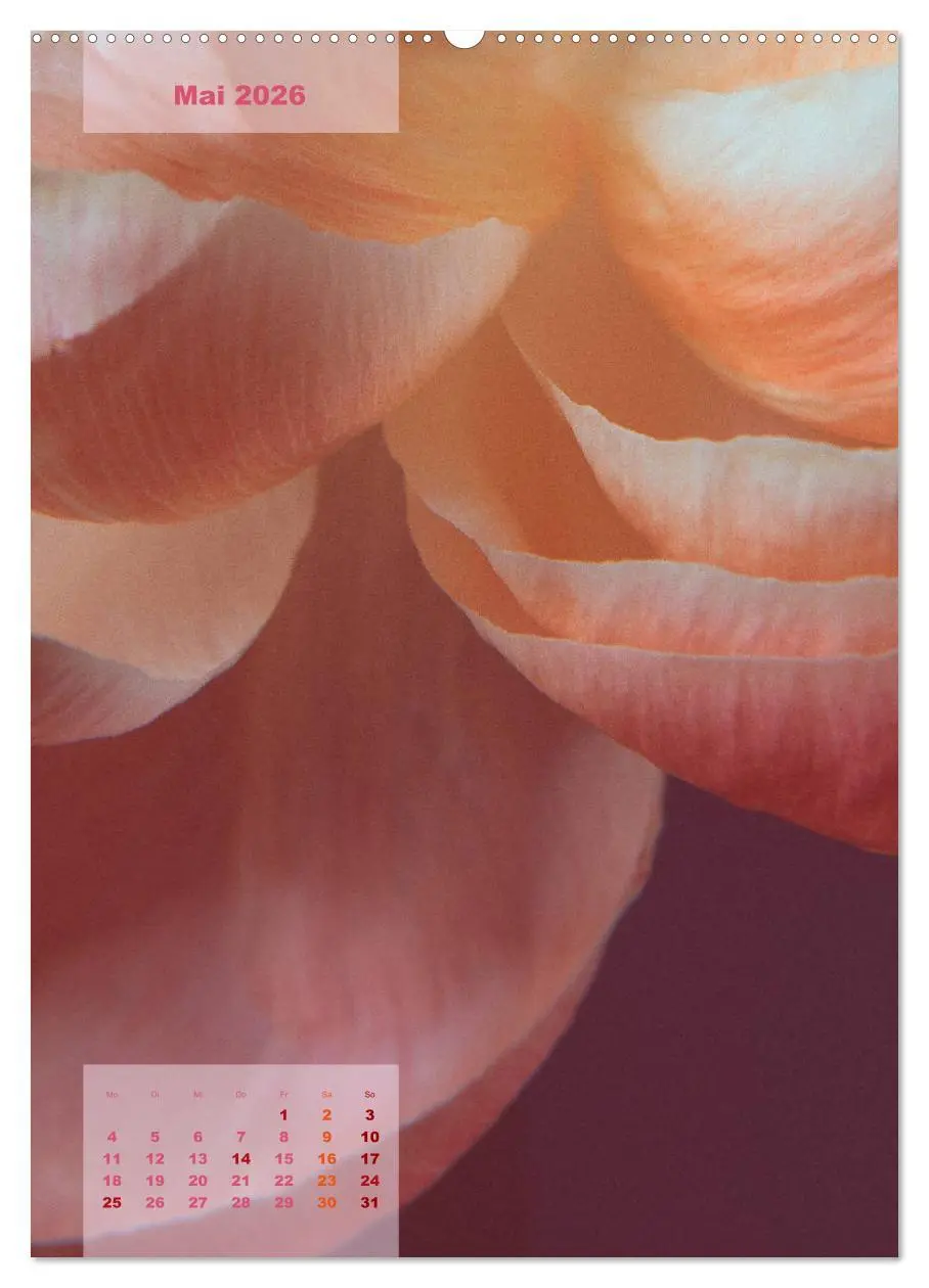 Bild: 9783516420579 | Die Königin der Rosen (hochwertiger Premium Wandkalender 2026 DIN...