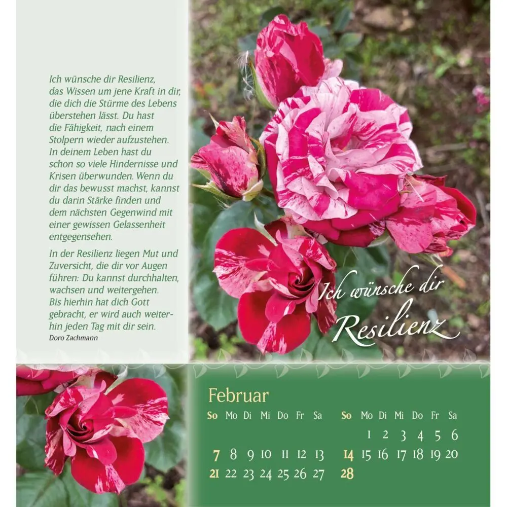 Bild: 9783754880579 | Rosenduft mit besten Wünschen 2027 | Doro Zachmann | Kalender | 14 S.