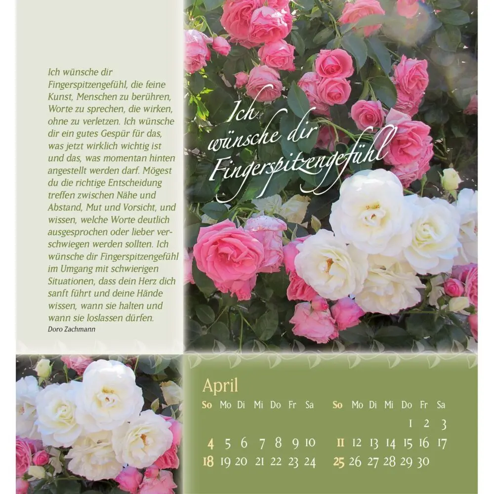 Bild: 9783754880579 | Rosenduft mit besten Wünschen 2027 | Doro Zachmann | Kalender | 14 S.