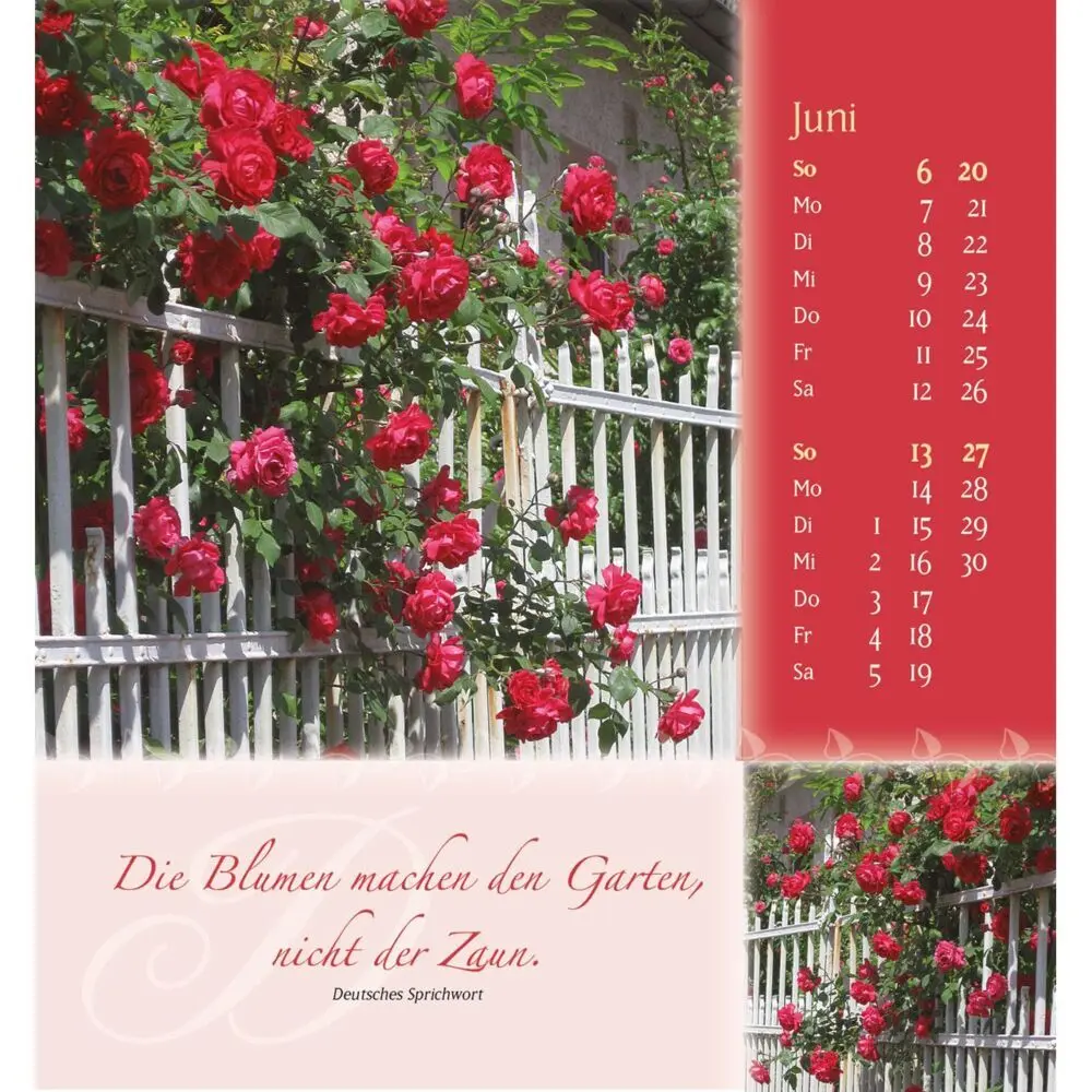 Bild: 9783754880579 | Rosenduft mit besten Wünschen 2027 | Doro Zachmann | Kalender | 14 S.