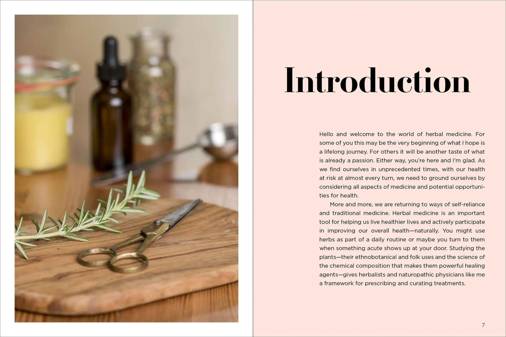 Bild: 9781643260679 | Medicinal Herbs for Family Health and Wellness | Jj Pursell | Buch